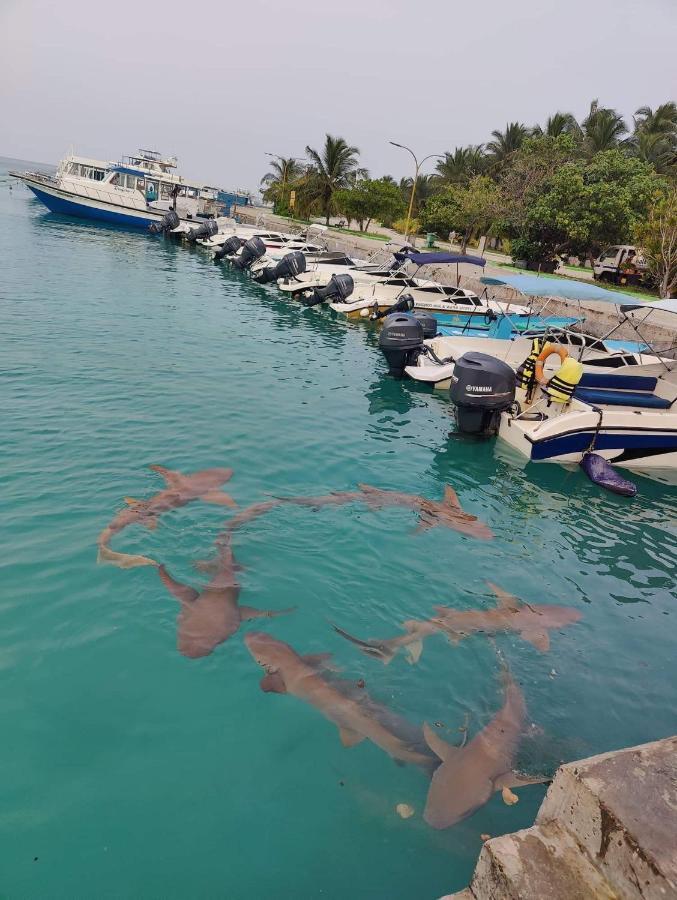 Rashuthere Maldives Rasdhoo Екстериор снимка