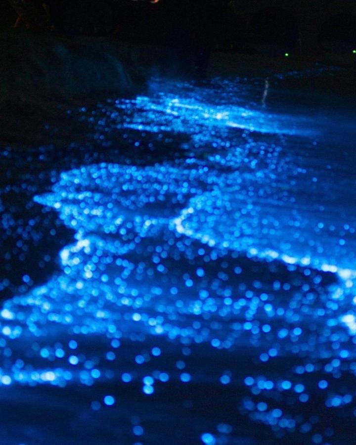Rashuthere Maldives Rasdhoo Екстериор снимка
