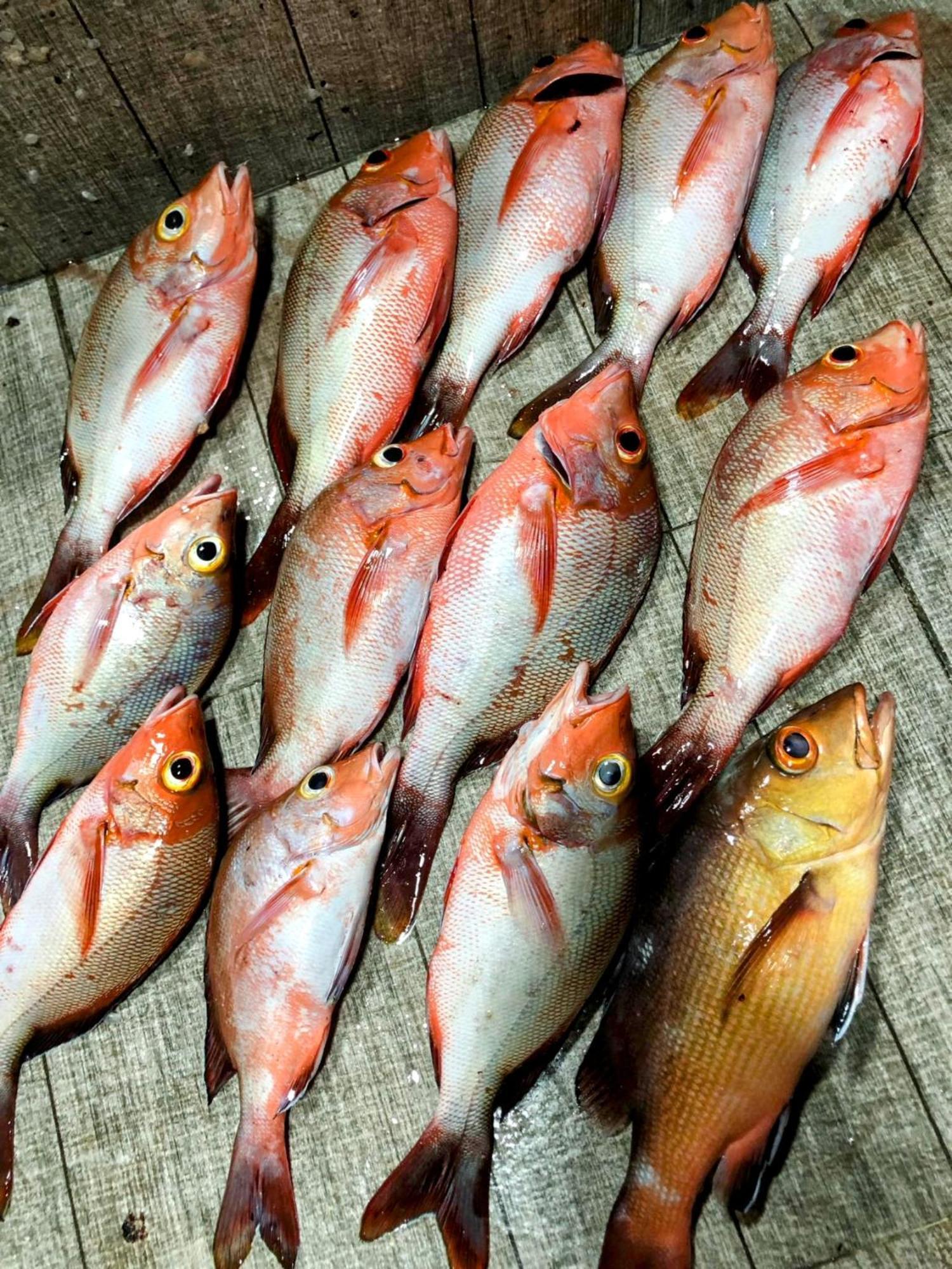 Rashuthere Maldives Rasdhoo Екстериор снимка