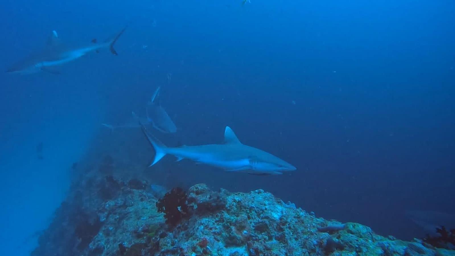 Rashuthere Maldives Rasdhoo Екстериор снимка