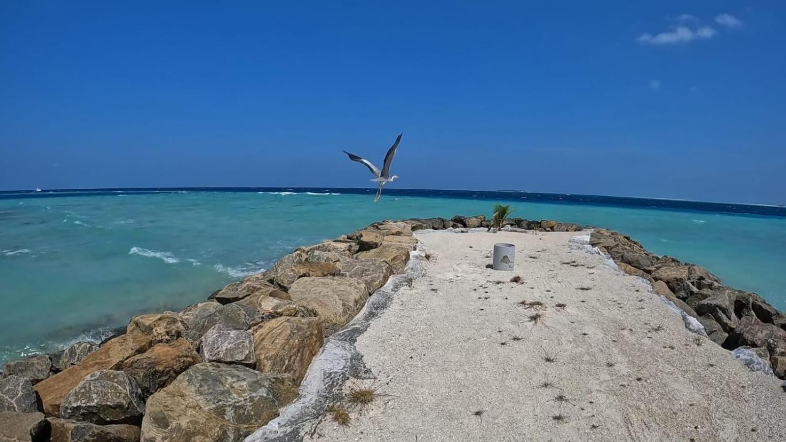 Rashuthere Maldives Rasdhoo Екстериор снимка